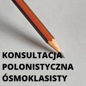 Konsultacje